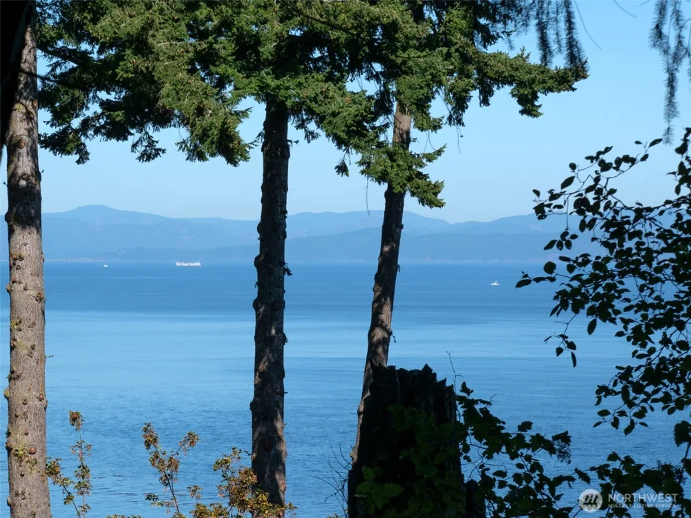 9999 W Bachelor Rock Drive Port Angeles, WA 98363