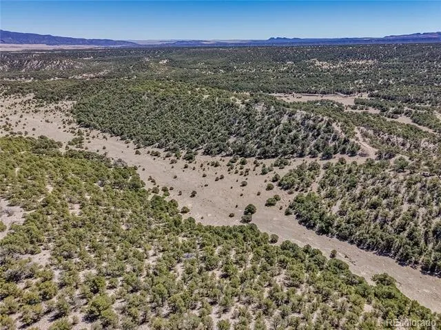 Lot 204 Colorado Land & Grazing Gardner, CO 81040
