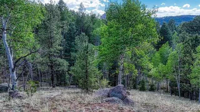 783 Bennett Drive Cripple Creek, CO 80813