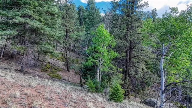 783 Bennett Drive Cripple Creek, CO 80813