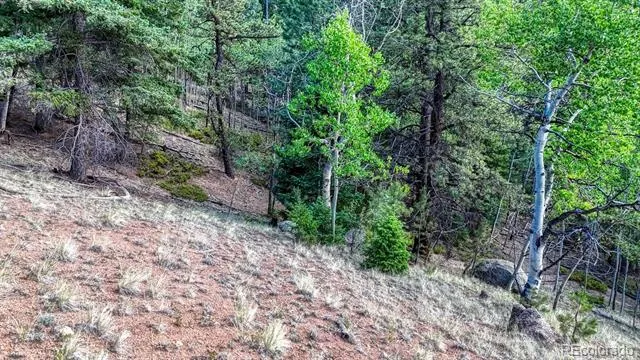 783 Bennett Drive Cripple Creek, CO 80813