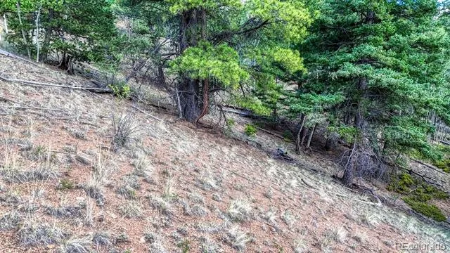 783 Bennett Drive Cripple Creek, CO 80813