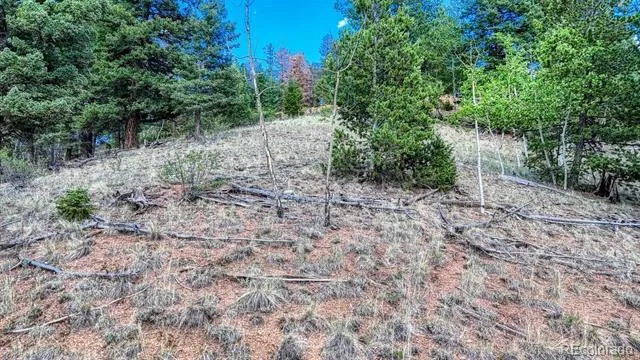 783 Bennett Drive Cripple Creek, CO 80813