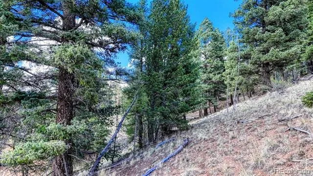 783 Bennett Drive Cripple Creek, CO 80813