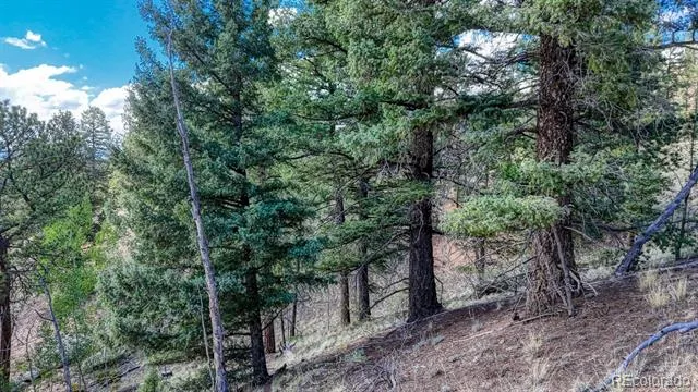783 Bennett Drive Cripple Creek, CO 80813