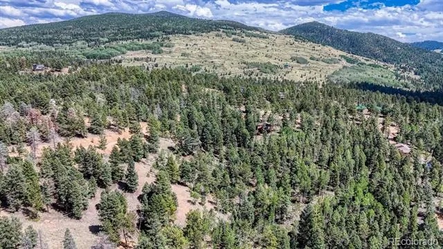 783 Bennett Drive Cripple Creek, CO 80813