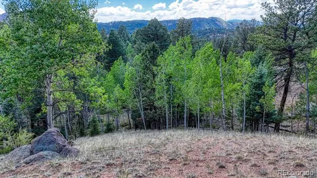 783 Bennett Drive Cripple Creek, CO 80813