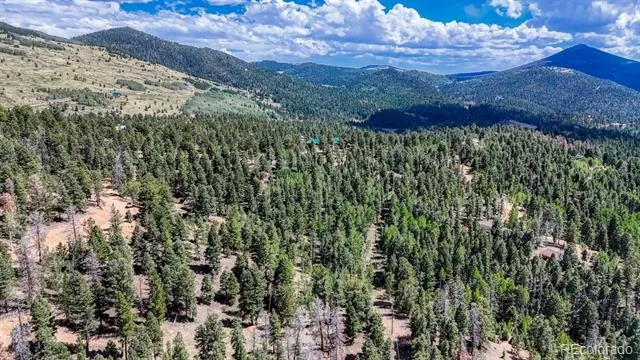 783 Bennett Drive Cripple Creek, CO 80813