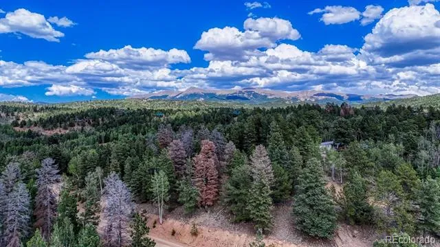 783 Bennett Drive Cripple Creek, CO 80813