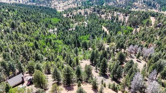 783 Bennett Drive Cripple Creek, CO 80813