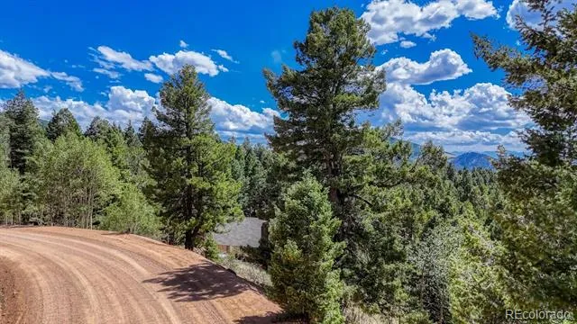 783 Bennett Drive Cripple Creek, CO 80813
