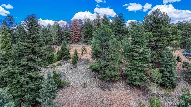 783 Bennett Drive Cripple Creek, CO 80813