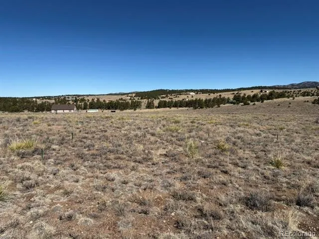 228 Navajo Path Westcliffe, CO 81252