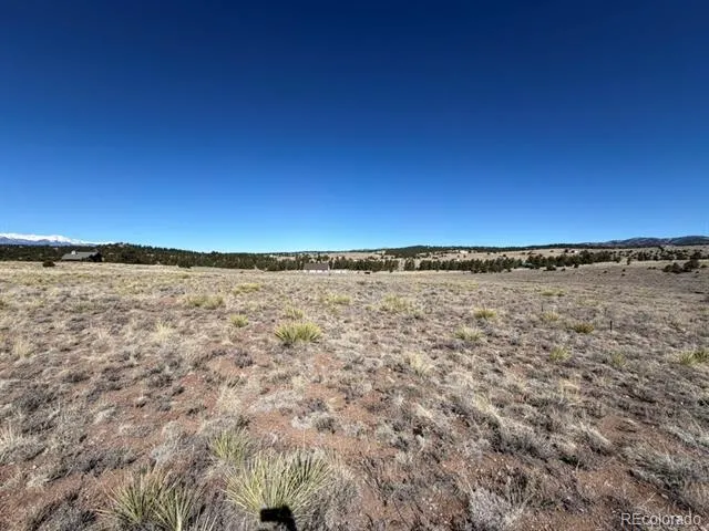 228 Navajo Path Westcliffe, CO 81252