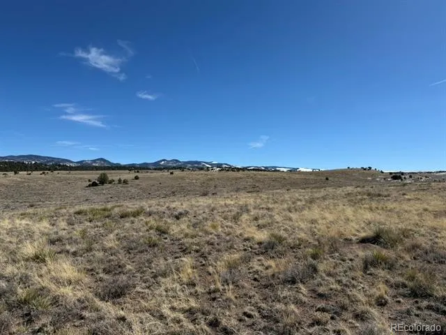 228 Navajo Path Westcliffe, CO 81252