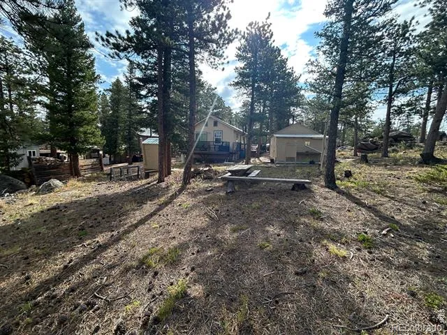 201 Onawa Road Red Feather Lakes, CO 80545