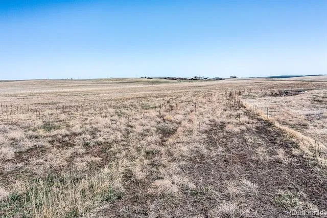 0 County Road 118 Elizabeth, CO 80107