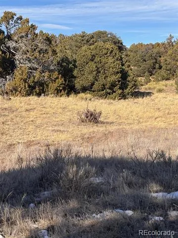 Address Not Shown Walsenburg, CO 81089