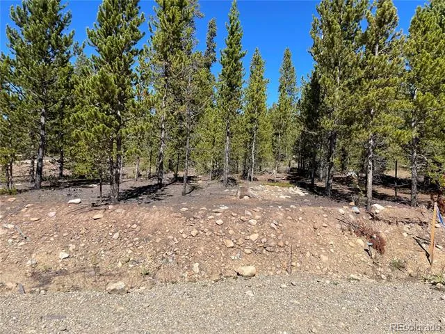 500 Virginia Avenue Leadville, CO 80461