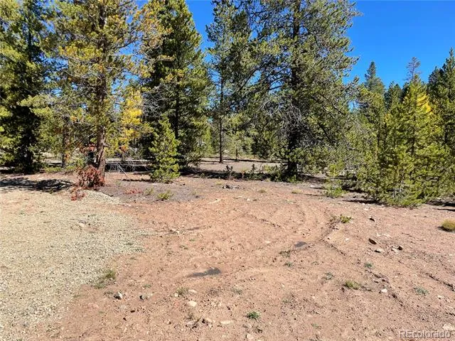 500 Virginia Avenue Leadville, CO 80461