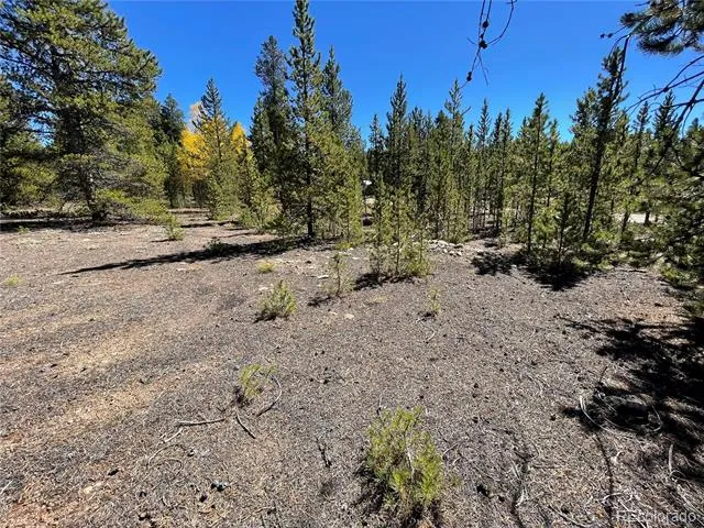500 Virginia Avenue Leadville, CO 80461