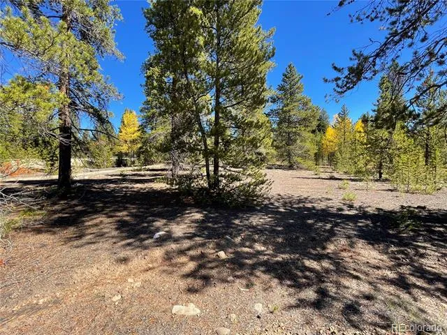 500 Virginia Avenue Leadville, CO 80461