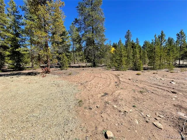 500 Virginia Avenue Leadville, CO 80461