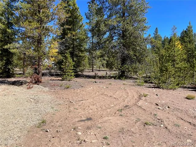 500 Virginia Avenue Leadville, CO 80461