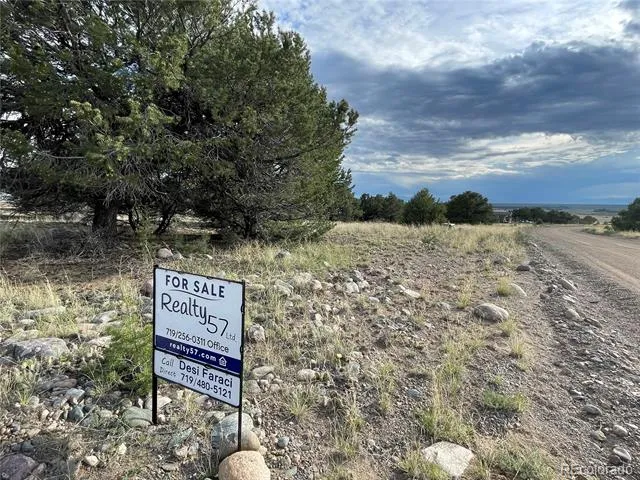 3383 Genial Way Crestone, CO 81131