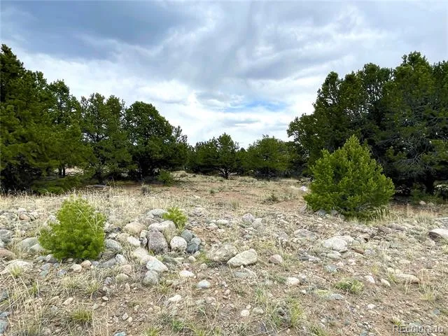 3383 Genial Way Crestone, CO 81131