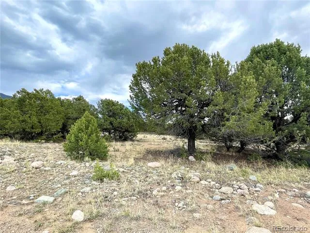 3383 Genial Way Crestone, CO 81131