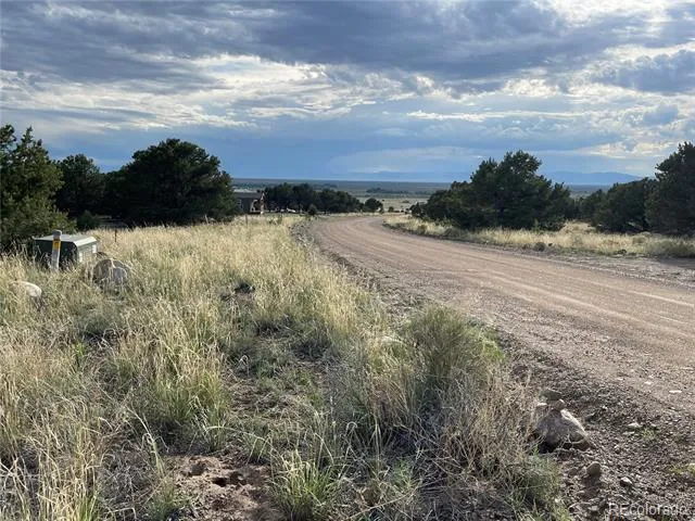 3383 Genial Way Crestone, CO 81131