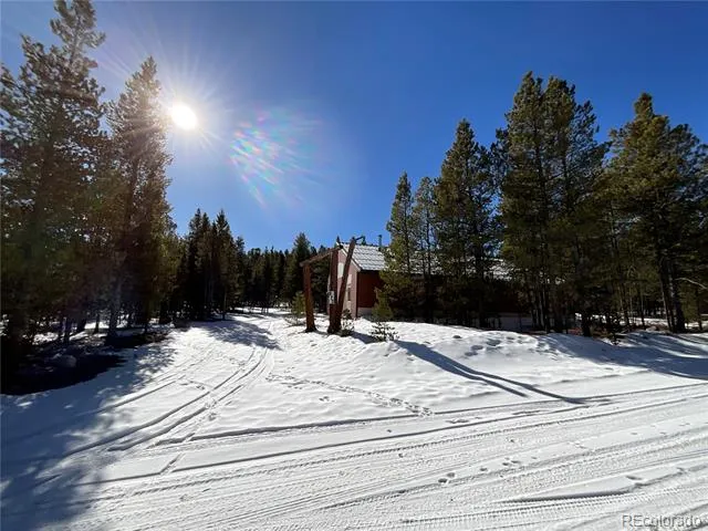 872 Birch Drive Twin Lakes, CO 81251