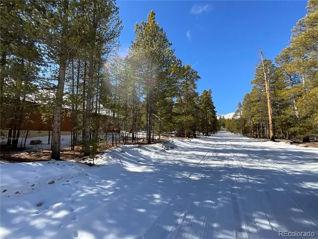 872 Birch Drive Twin Lakes, CO 81251