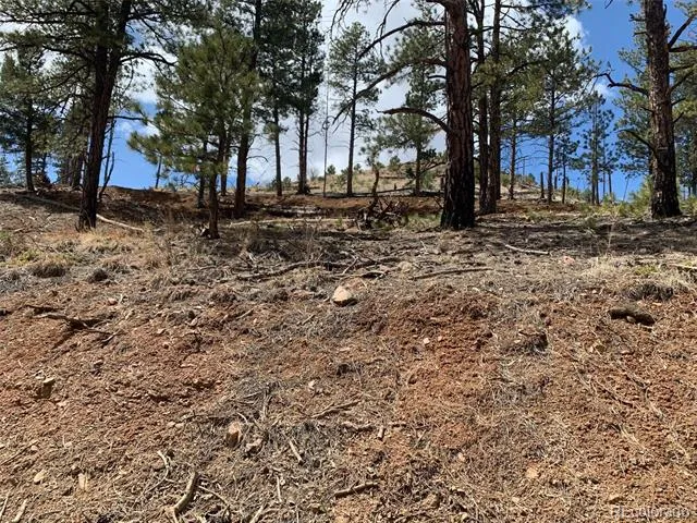 15421 Westcreek Road Woodland Park, CO 80863