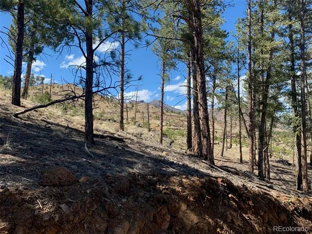 15421 Westcreek Road Woodland Park, CO 80863