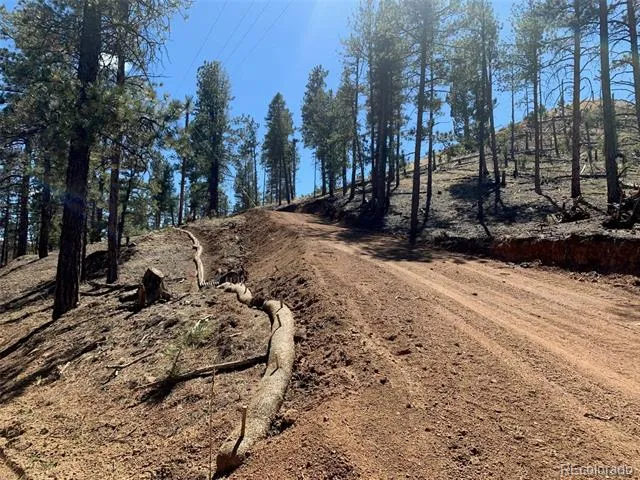 15421 Westcreek Road Woodland Park, CO 80863