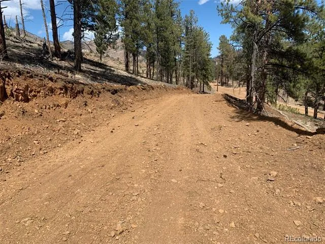 15421 Westcreek Road Woodland Park, CO 80863