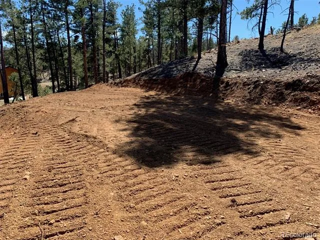 15421 Westcreek Road Woodland Park, CO 80863