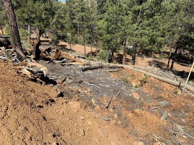 15421 Westcreek Road Woodland Park, CO 80863