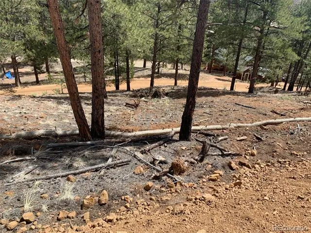 15421 Westcreek Road Woodland Park, CO 80863
