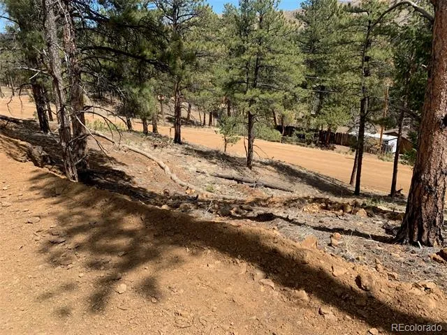 15421 Westcreek Road Woodland Park, CO 80863