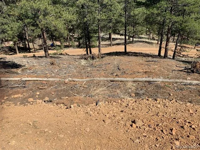 15421 Westcreek Road Woodland Park, CO 80863