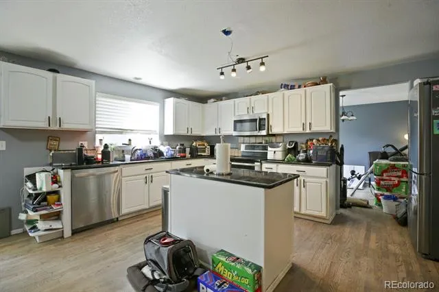 1376 Flannagan Court Erie, CO 80516
