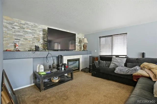 1376 Flannagan Court Erie, CO 80516