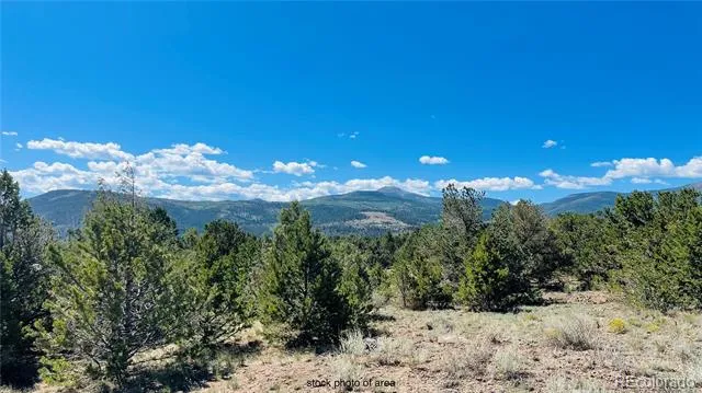976 Kenosha Road South Fork, CO 81154