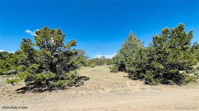 976 Kenosha Road South Fork, CO 81154