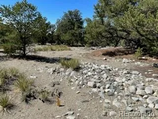 15 Mill Run Road Mosca, CO 81146