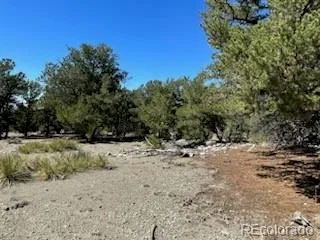 15 Mill Run Road Mosca, CO 81146