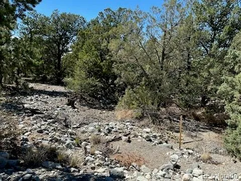 15 Mill Run Road Mosca, CO 81146
